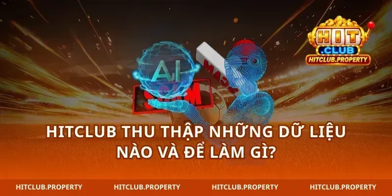 hitclub thu thập những dữ liệu nào và để làm gì?