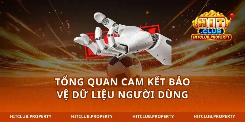 chính sách bảo mật cam kết bảo vệ dữ liệu người dùng