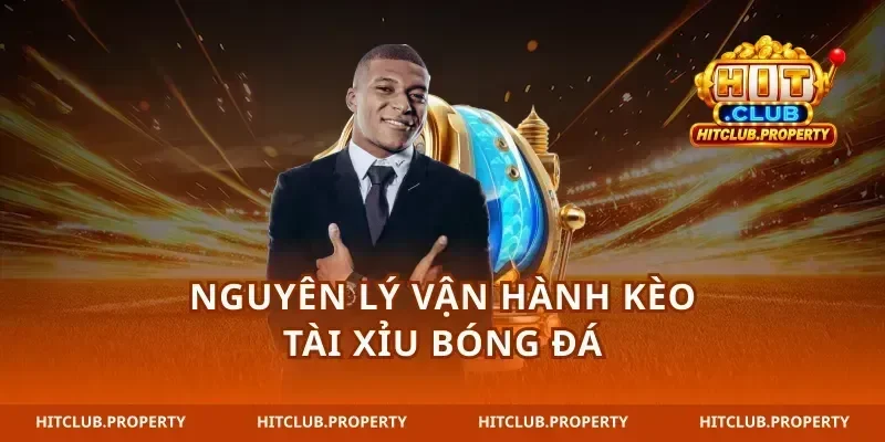 Nguyên lý vận hành kèo tài xỉu bóng đá