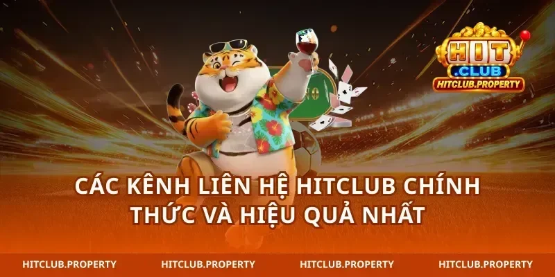 Các kênh liên hệ hitclub chính thức và hiệu quả nhất